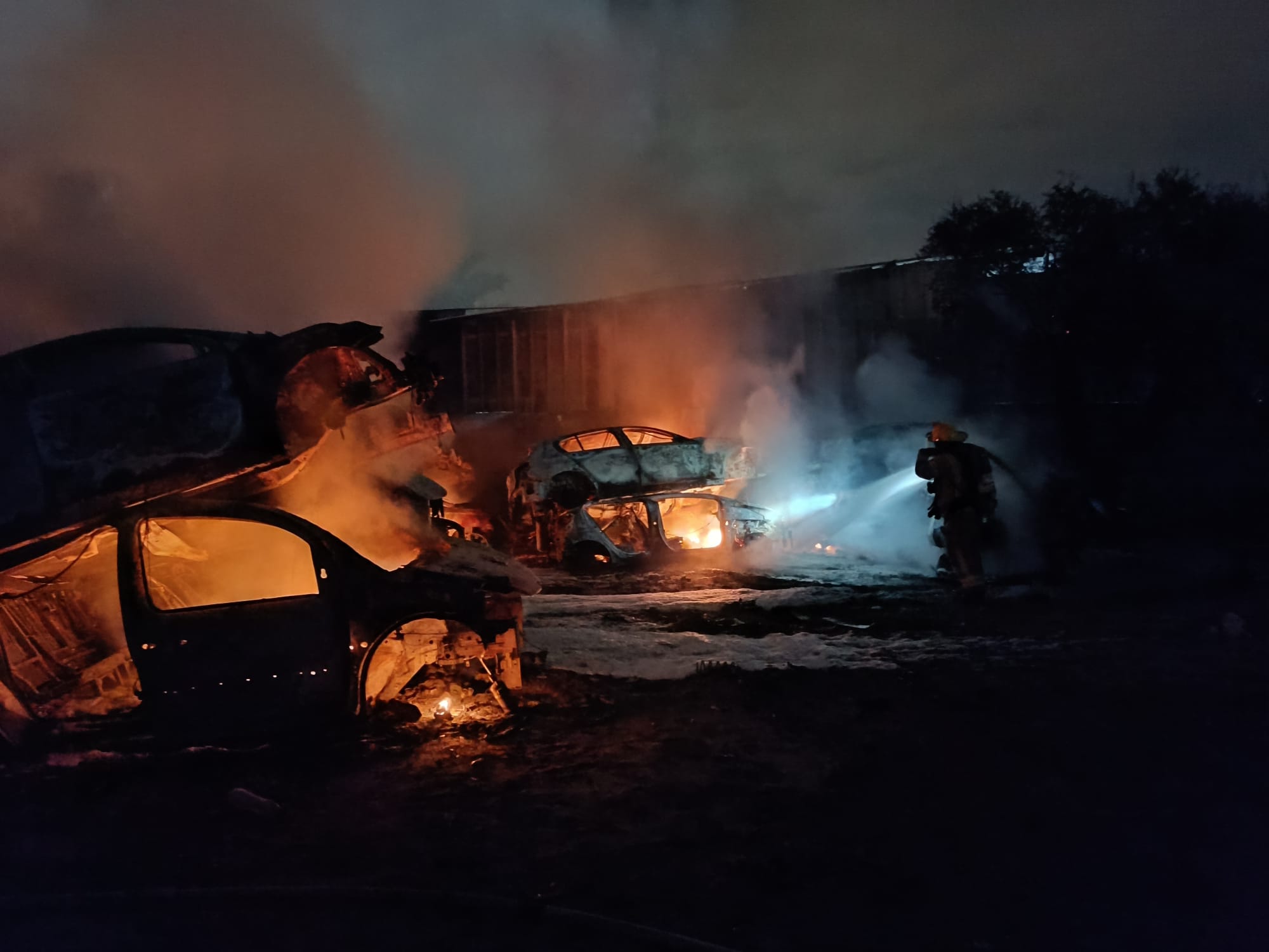 WhatsApp Image 2024-01-10 at 19.22.20.jpeg